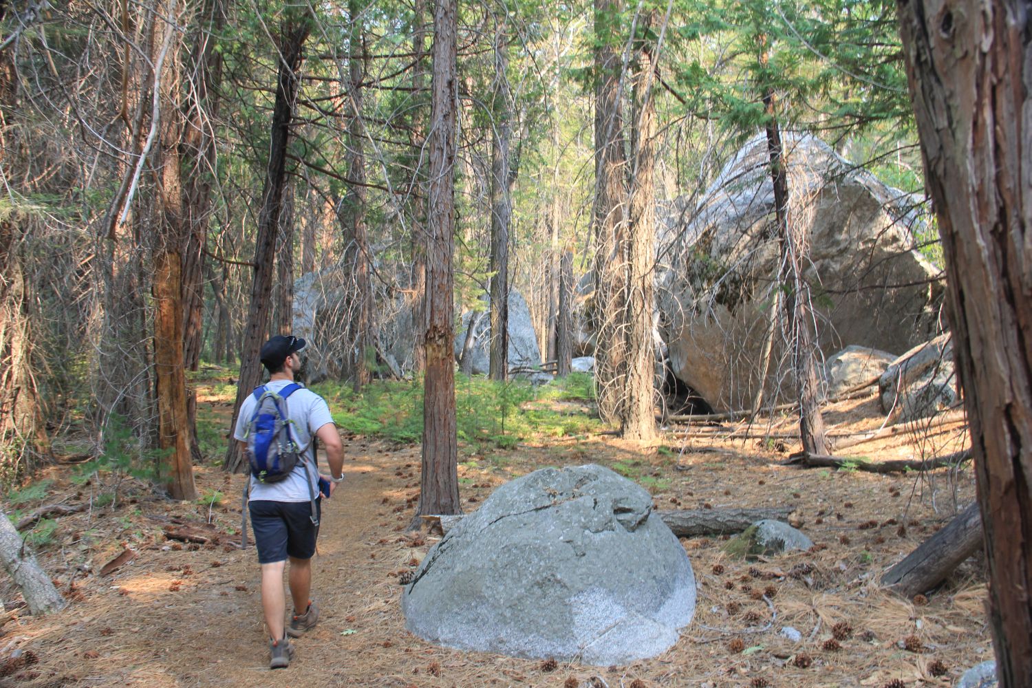 Kanawyer Loop Trail 